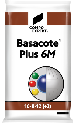 Basacoe® Plus 6M 16+8+12(+2+5)