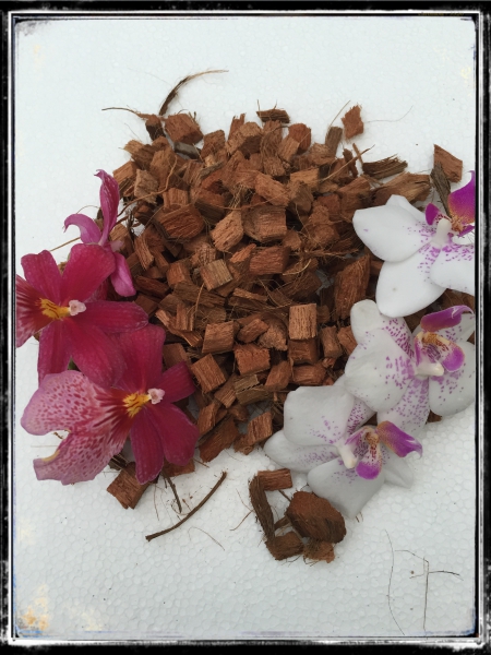 KOKOS CHIPS LOSE - ORCHIDEENSUBSTRAT - 5 LITER BEUTEL